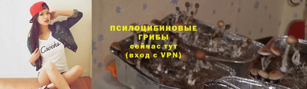 первитин Арсеньев