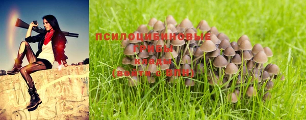 первитин Арсеньев
