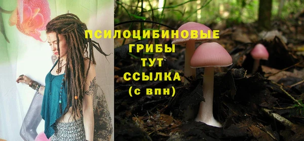 первитин Арсеньев
