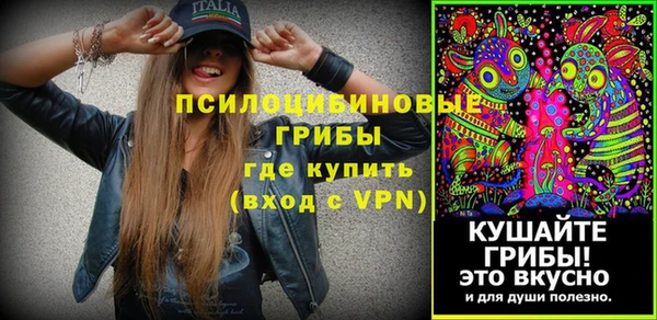 дмт Армянск
