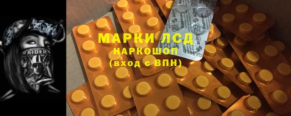 прущие крисы Аркадак